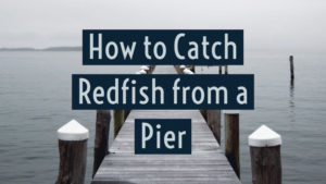 how to catch redfish from a pier