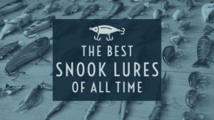 best snook lures