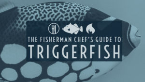 Triggerfish Taste, Cooking, and Safe Eating