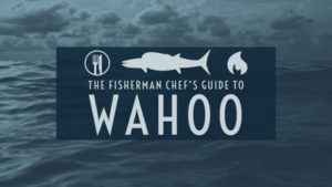 Wahoo Taste, Cooking & Wahoo Sushi