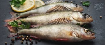 What Perch Tastes Like & How to Cook It